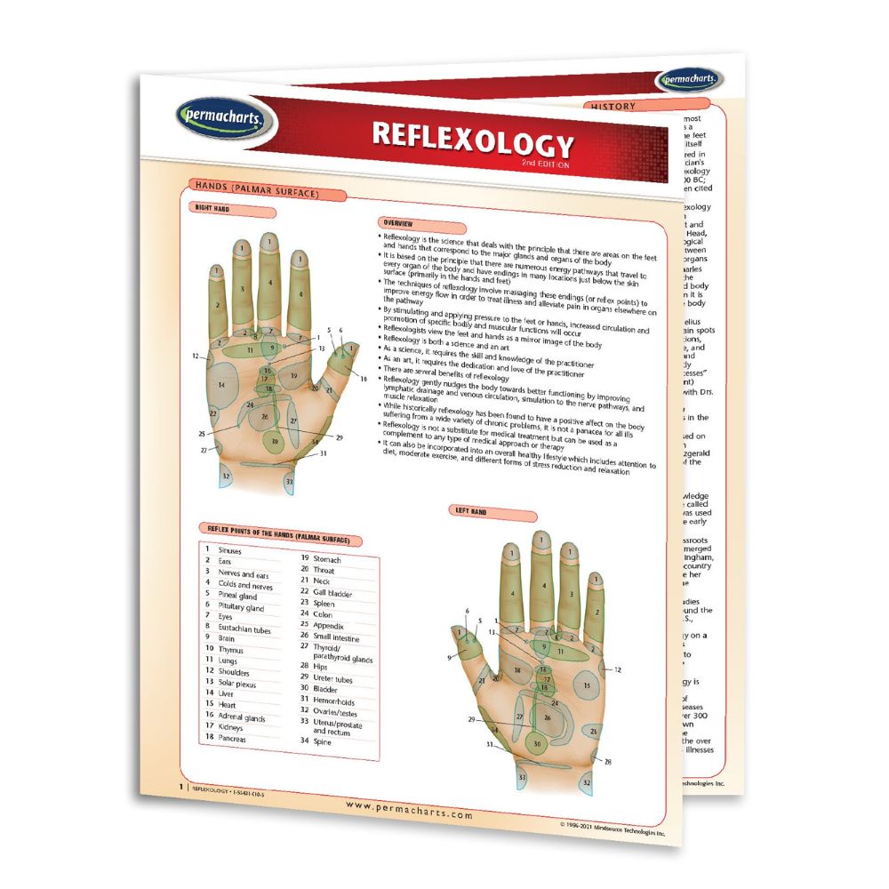 Reflexology Guide & Maps (Digital Edition)