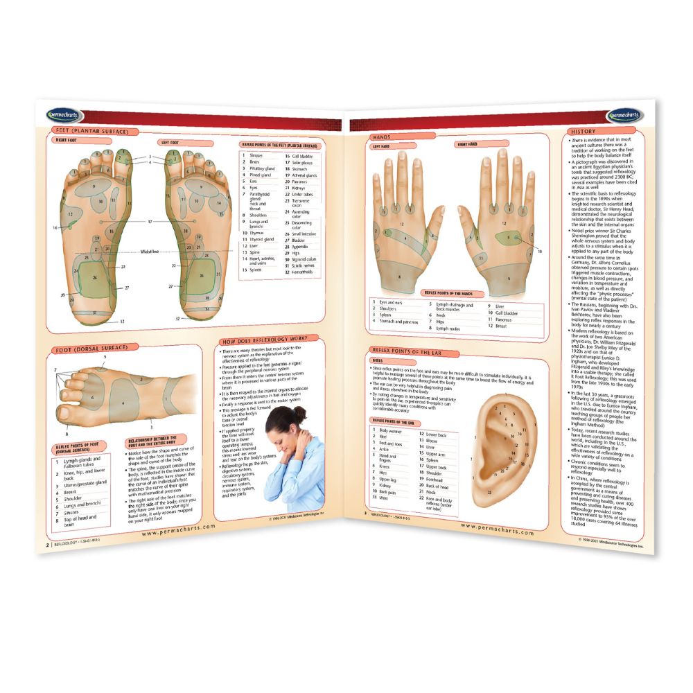 Reflexology Guide & Maps (Digital Edition)