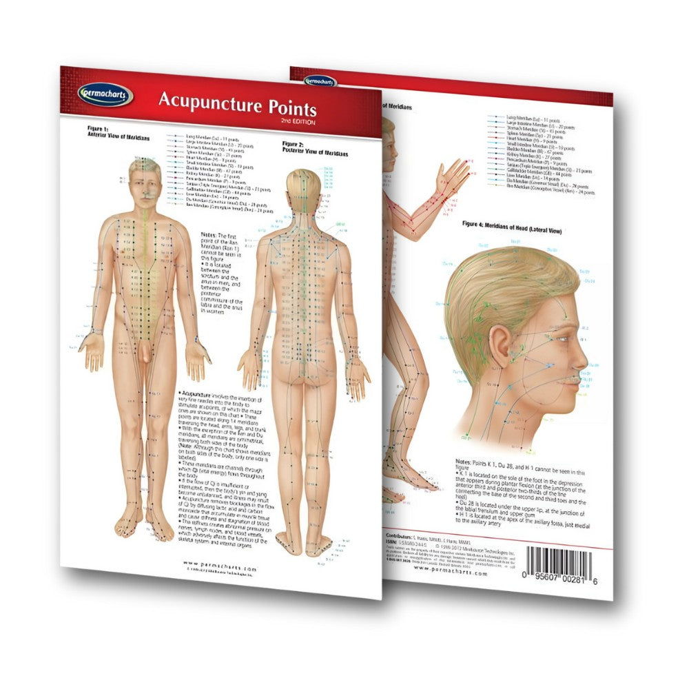 Acupuncture Points Chart (Digital Edition)